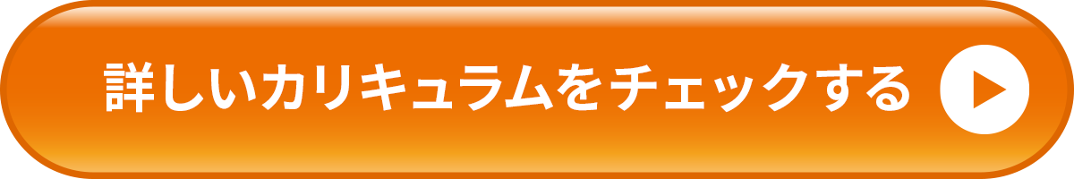 詳しいカリキュラムをチェックする